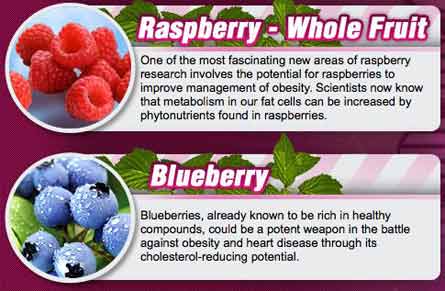 What is in Blueberry Max