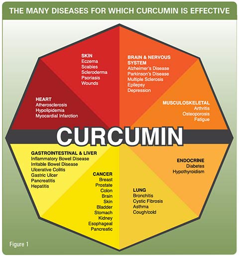 Curcumin benefits
