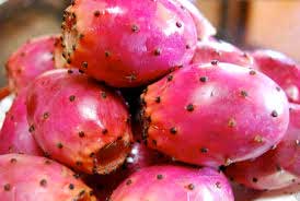 Prickly Pear weight loss